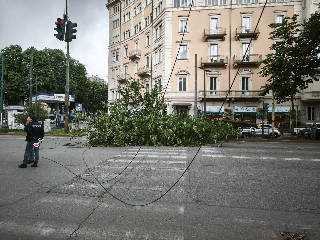Vento su Torino, un albero è caduto sui cavi del tram